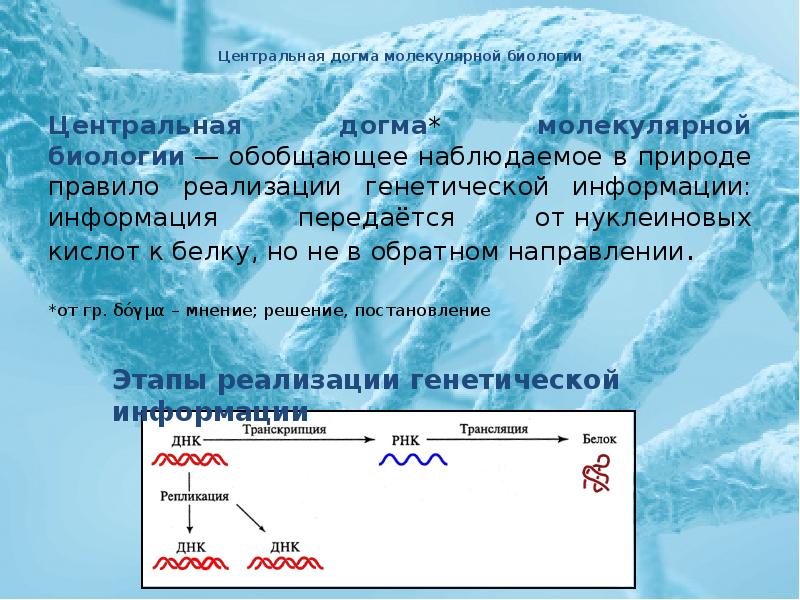 Задачи по молекулярной биологии с решениями 10 класс презентация