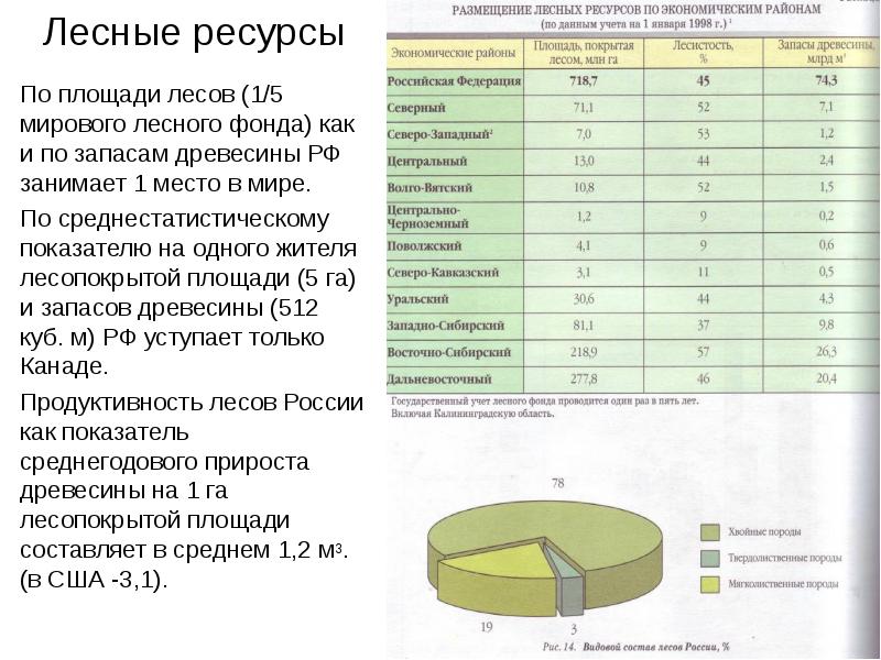 Запасы древесины в мире