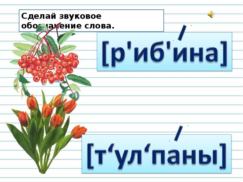 Звуковое обозначение. Звуковое обозначение слова. Сделать звуковое обозначение слов. Звуковые обозначения слов 2 класс. Написать звуковое обозначение слова.