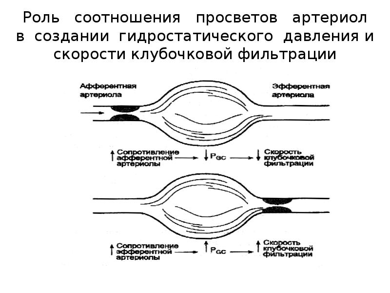 Скорость клуб фильтрации