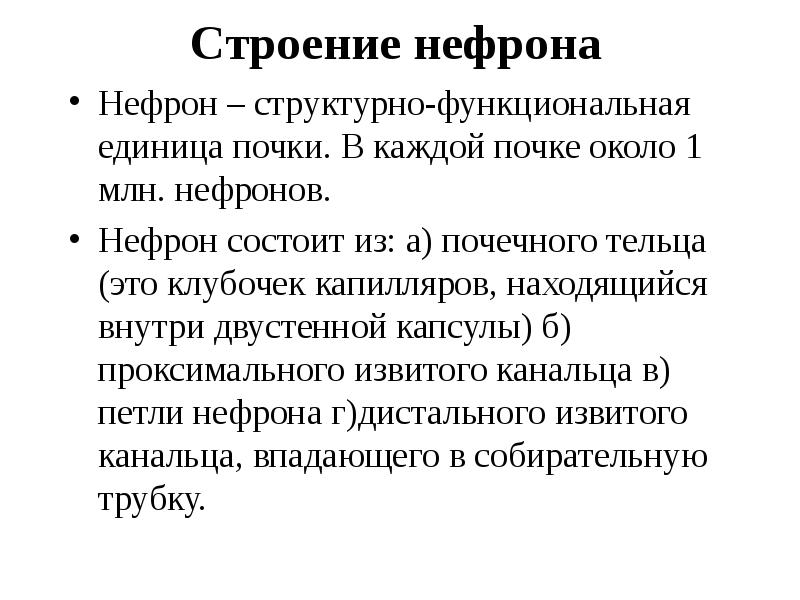 Курсовая работа по теме Физиология выделения 