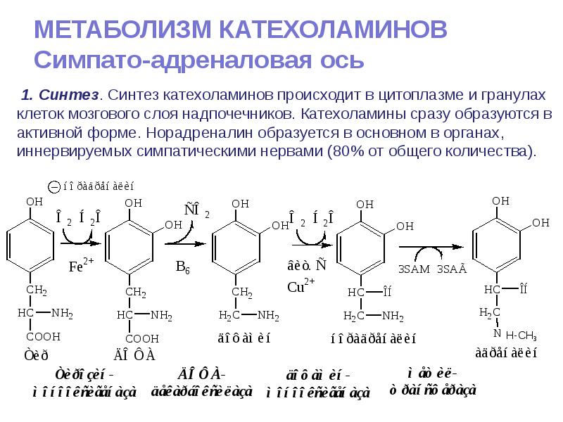 Катехоламины связаны с депрессией