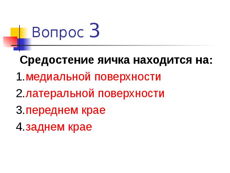 Поверхностные вопросы. Средостение яичка. Где находится средостение яичка. Средостение яичка находится на какой поверхности. Средостение яичка расположено:средостение яичка расположено.