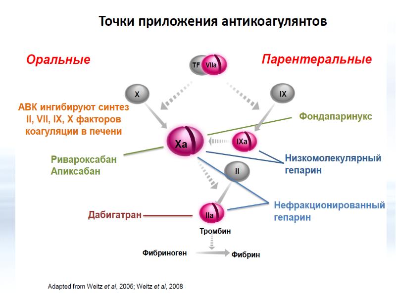 Точка действия. Механизм действия антикоагулянтов схема. Точки приложения действия антикоагулянтов. Антикоагулянты схема. АСИТ терапия механизм действия.