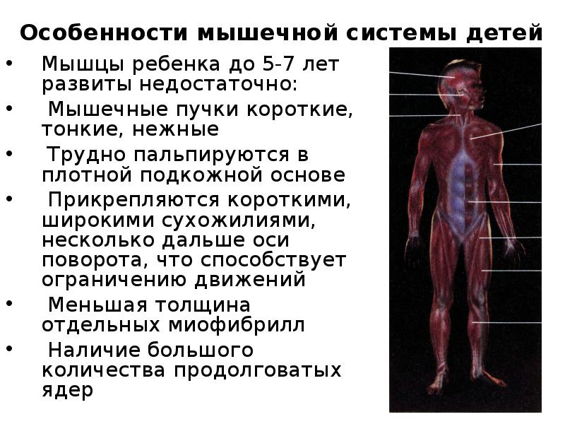 Семиотика кожи у детей