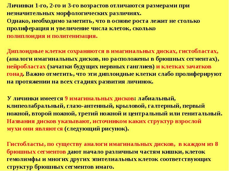 Имагинальный это. Что лежит в основе роста. Что лежит в основе роста организмов. В основе роста лежит постэ.