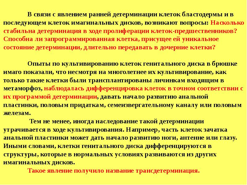 Имагинальный это. Детерминация клеток. Детерминация у дрозофилы. Связи детерминации. Ген половой детерминации.