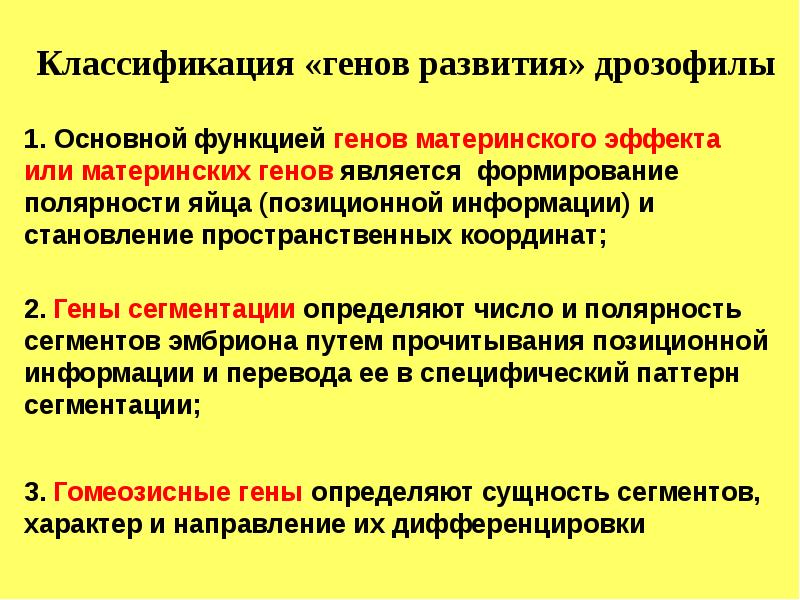 Ген развития. Гены сегментации. Материнские гены. Функции генов сегментации. Гены материнского эффекта.