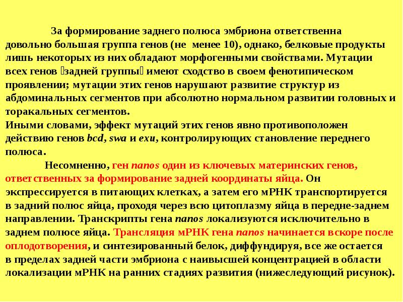 Ген развития. Гены и их роль. Формирование Гена человека это. Какую роль играют гены в развитии человека. Гены ответственные за.