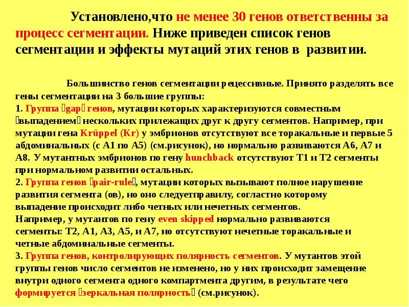 Ген развития. Группы генов. Какие гены контролируют транскрипцию генов сегментации. Гены сегментации у дрозофилл. Гены материнского эффекта дрозофилы.