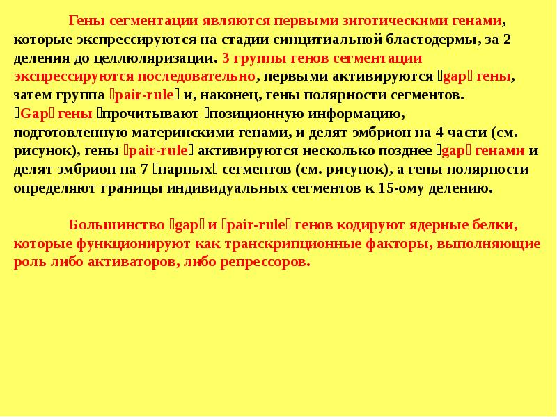 Ген развития. Сегментные гены gap гены. Гены сегментарной полярности. Гены пространственной организации. Гомеозисные гены сегментация.