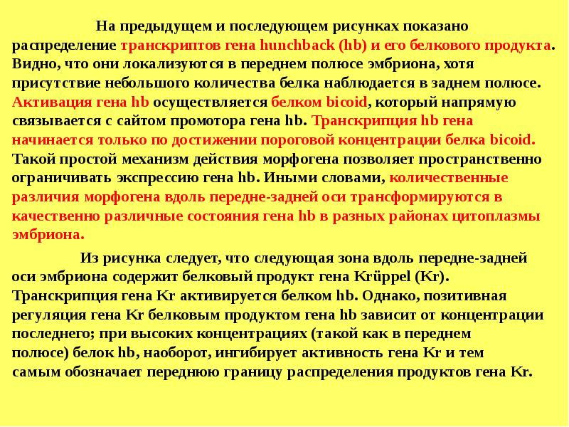 С чего начинается ген. Состояние Гена. Активация генов зародыша. Транскрипты генов. Различные состояния одного Гена это.