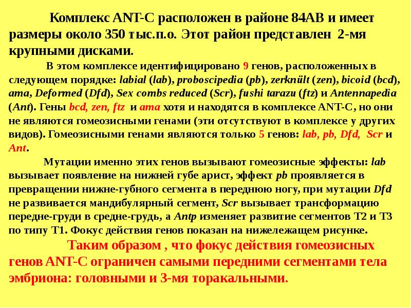 Ген развития. Комплексы гомеозисных генов Ant-c и BX-C У дрозофилы. Пенетрация генов.