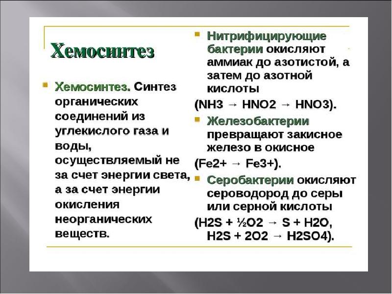 Типы клеточного питания фотосинтез и хемосинтез 10 класс презентация