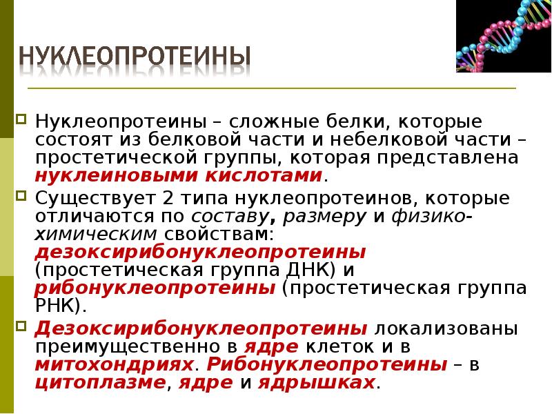 Схема переваривания нуклеопротеинов в желудочно кишечном тракте