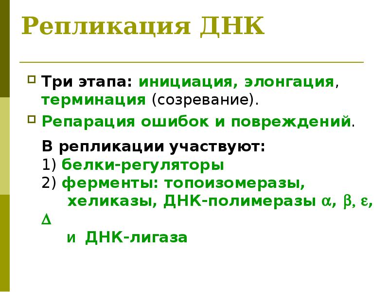 Стадии днк. Этапы процесса репликации ДНК. Репликация ДНК инициация элонгация терминация. Этапы репликации ДНК инициация элонгация терминация. Стадии репликации ДНК.