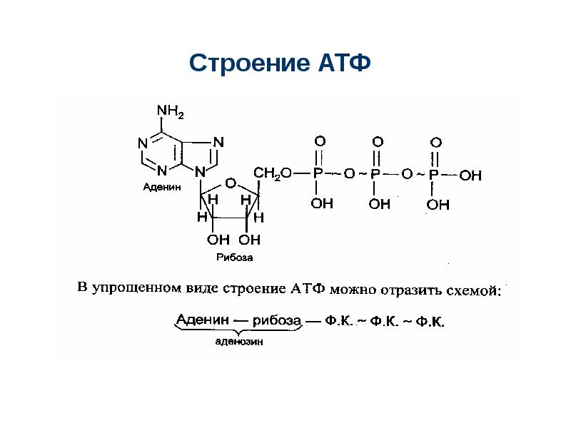 Винилсилан схема строения