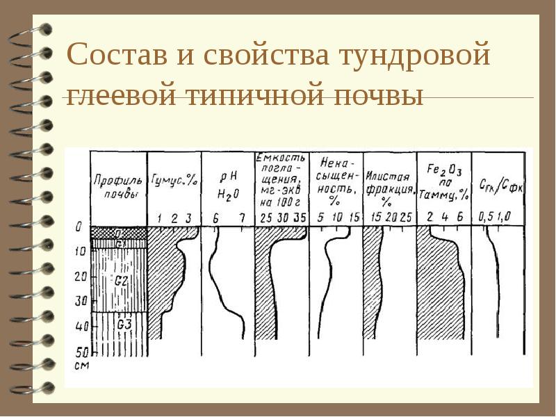 Географическое положение тундрово глеевой почвы