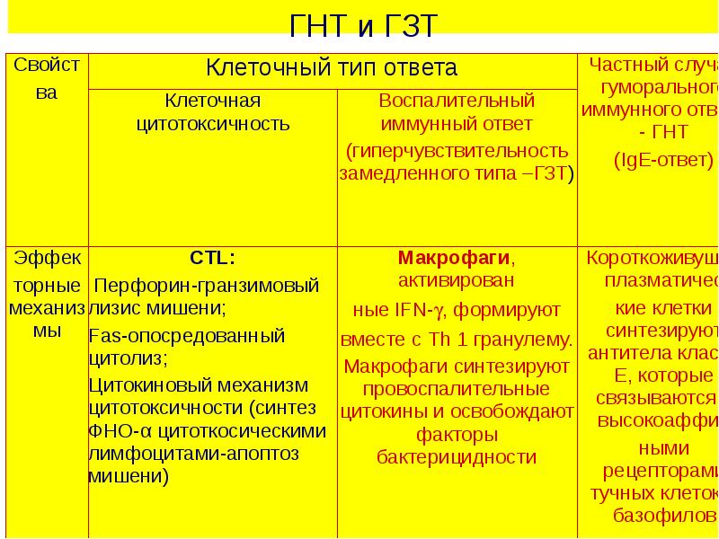 Типы гиперчувствительности