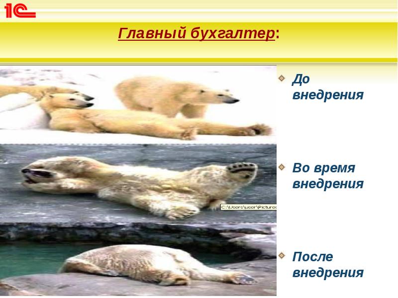 Главный бухгалтер:
До внедрения
Во время внедрения
Главный бухгалтер:
До внедрения
Во время внедрения