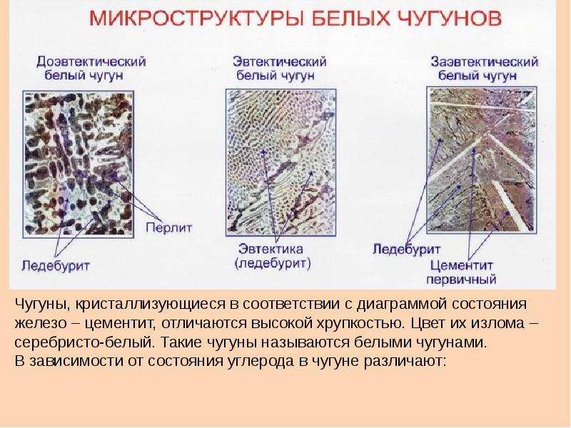 Структура белого. Доэвтектический белый чугун структура. Структура заэвтектического белого чугуна. Микроструктура белого заэвтектического чугуна. Заэвтектический белый чугун структура.