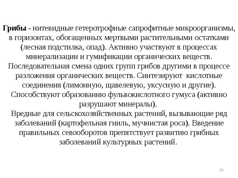 Грибы - нитевидные гетеротрофные сапрофитные микроорганизмы, в горизонтах, обогащенных мертвыми растительными Грибы - нитевидные гетеротрофные сапрофитные микроорганизмы, в горизонтах, обогащенных мертвыми растительными