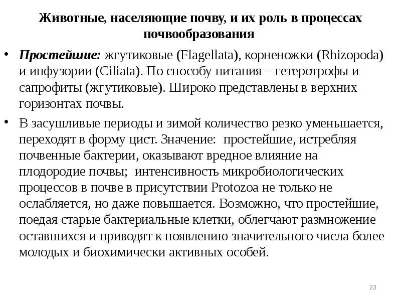 Животные, населяющие почву, и их роль в процессах почвообразования
Животные, населяющие почву, и их роль в процессах почвообразования