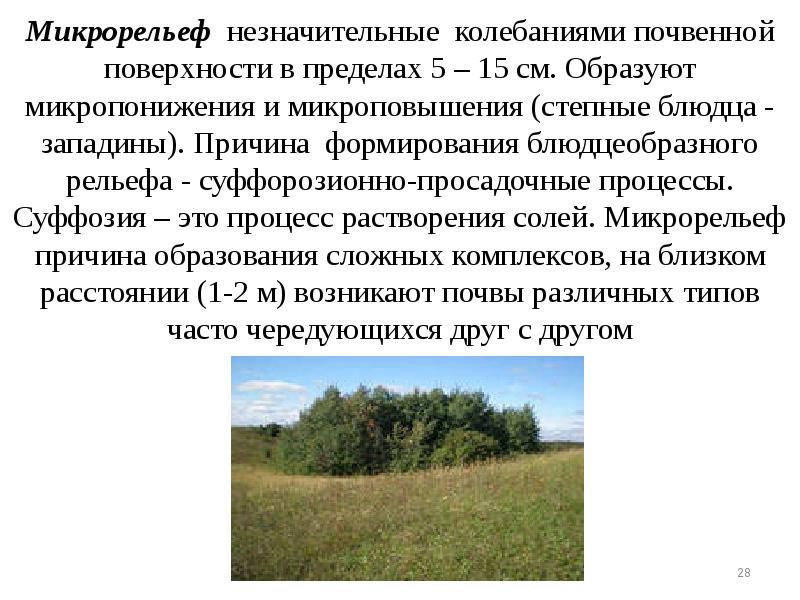 Микрорельеф незначительные колебаниями почвенной поверхности в пределах 5 – 15 см. Микрорельеф незначительные колебаниями почвенной поверхности в пределах 5 – 15 см.
