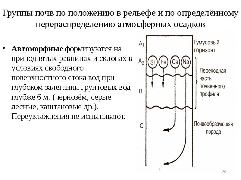 Группы почв по положению в рельефе и по определённому перераспределению атмосферных Группы почв по положению в рельефе и по определённому перераспределению атмосферных