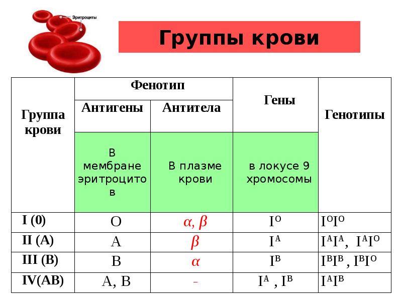 Группы крови a b c