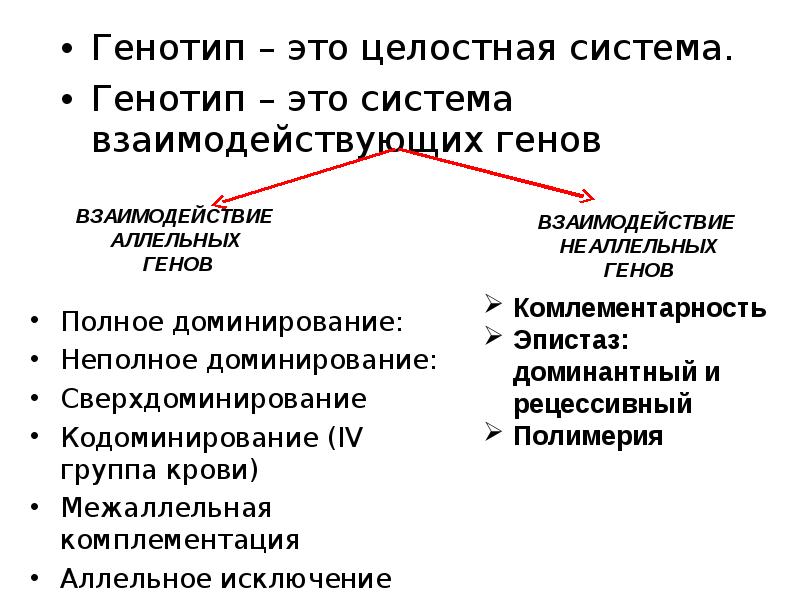 Взаимодействие генотипа и среды презентация 10 класс