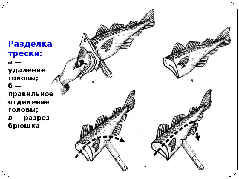 Обработка рыбы схема