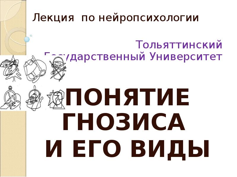Лекция по нейропсихологии Тольяттинский Государственный Университет ПОНЯТИЕ ГНОЗИСА  И ЕГО