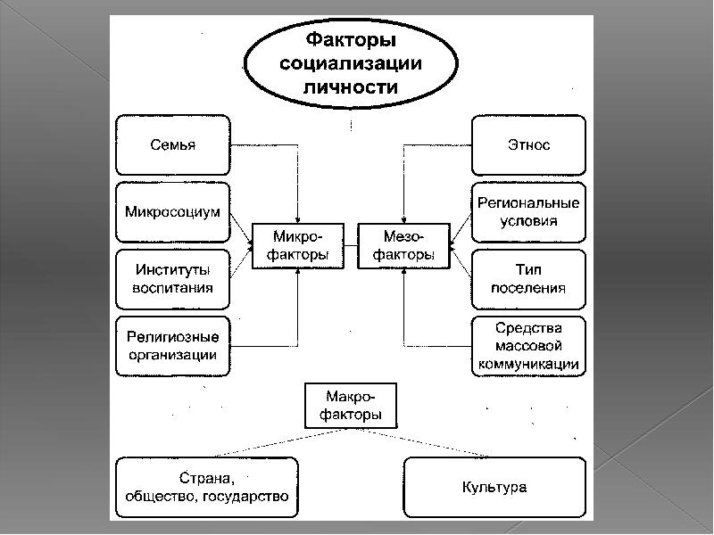 Институты социализации факторы социализации