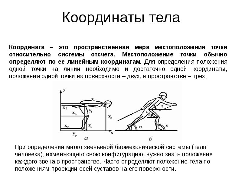 Биомеханические модели проект 7 класс биология