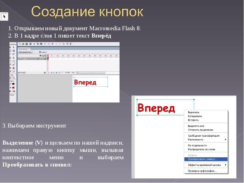 Формат flash. Flash презентация. adobe flash презентация. кнопка создания нового документа. флеш презентация пример.