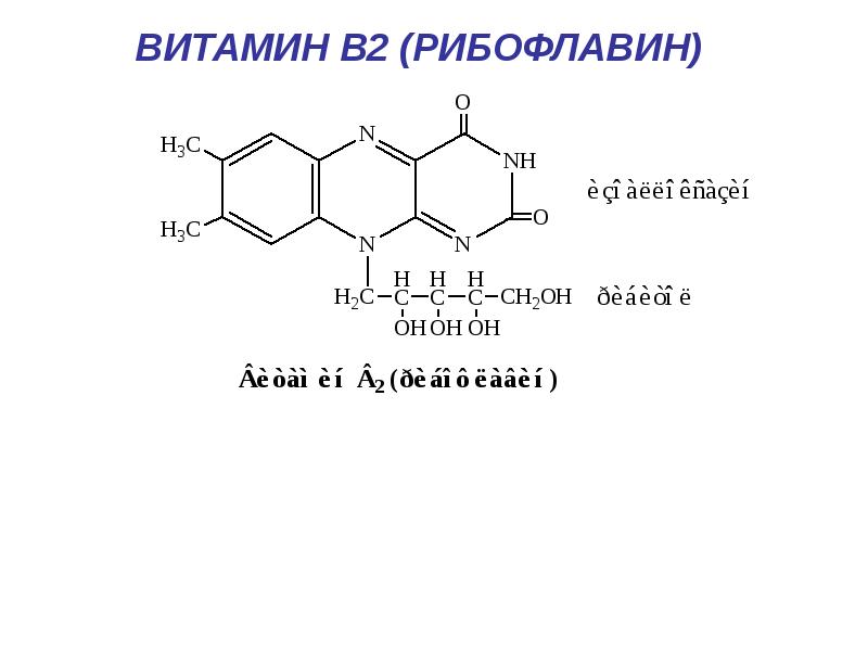 Витамины презентация биохимия