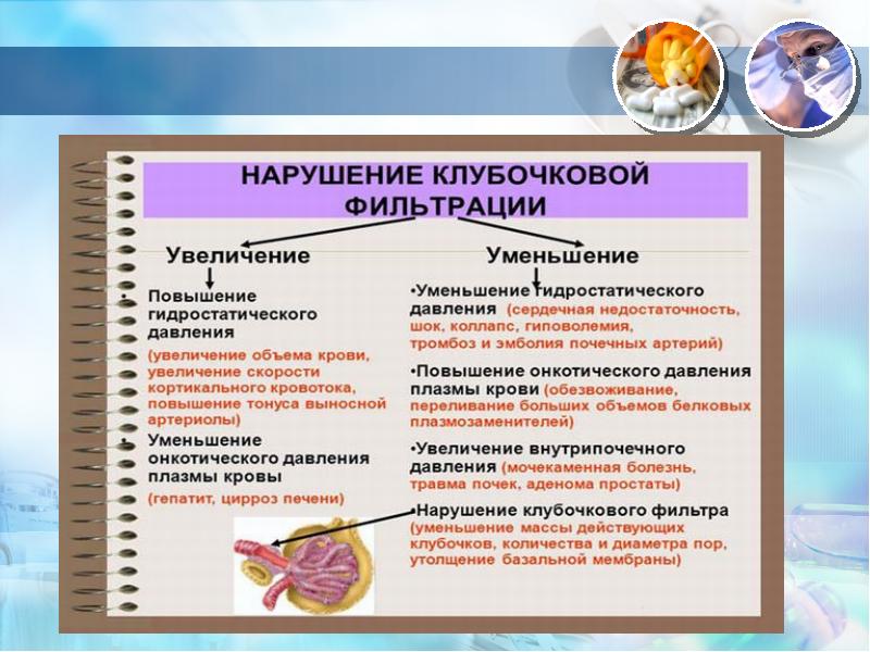 Увеличить клубочковую фильтрацию