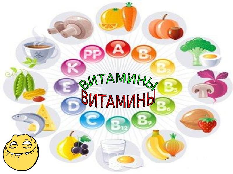 Витамины презентация анатомия