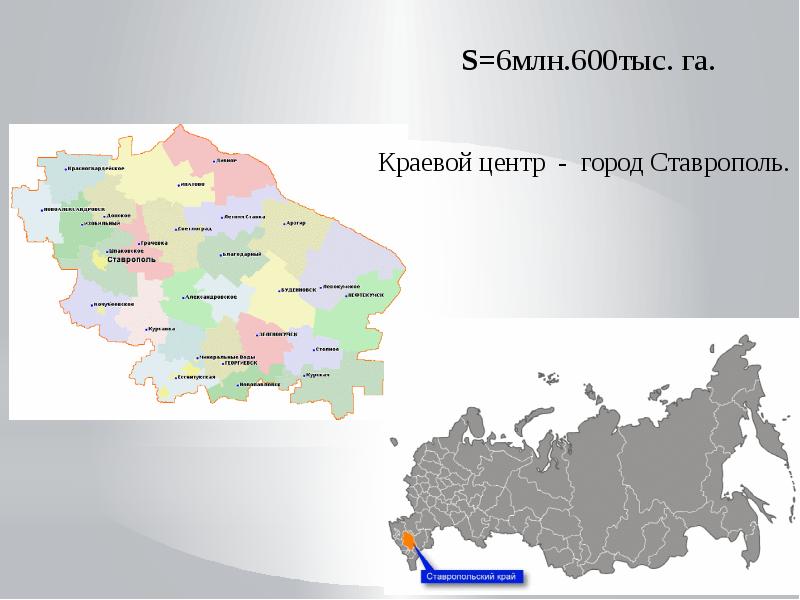 Богатства ставропольского края. Биологические ресурсы Ставропольского края. Лесные ресурсы Ставропольского края. Карта лесных ресурсов Ставропольского края. Лесные ресурсы Ставропольского края презентация.