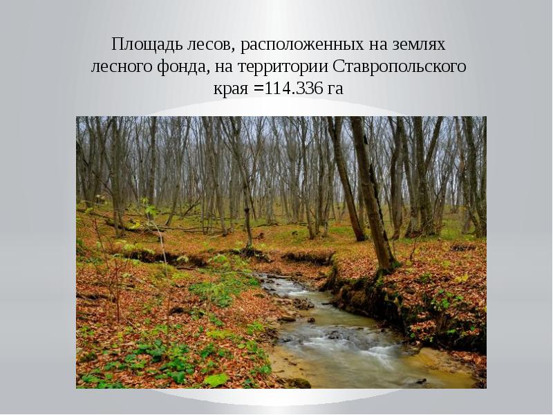 Разнообразие природы ставропольского края проект