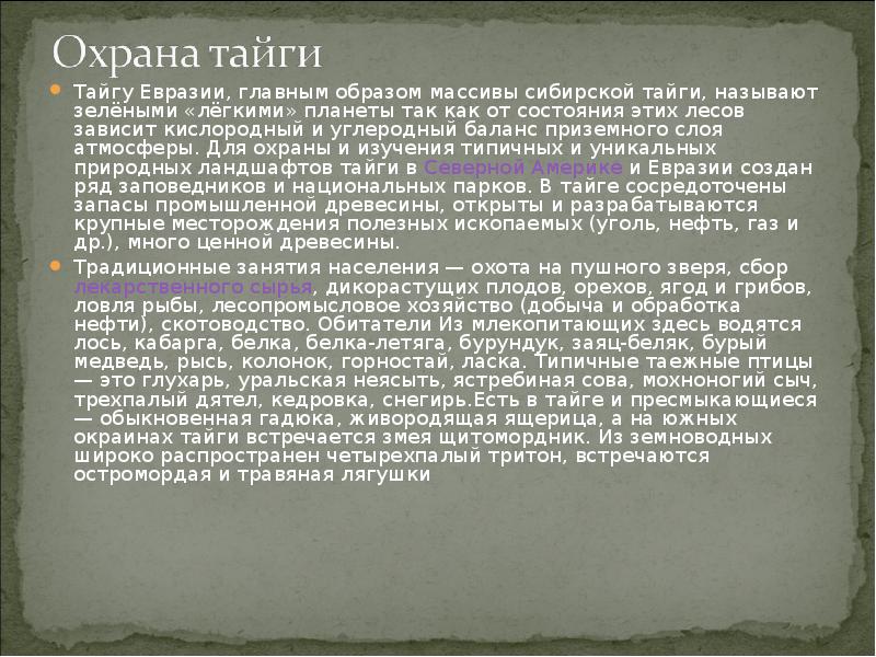 Почему сибирская тайга нуждается в охране. Аргументы в защиту тайги. Охрана тайги. Тайга Евразии сообщение. Почему Тайга нуждается в охране.