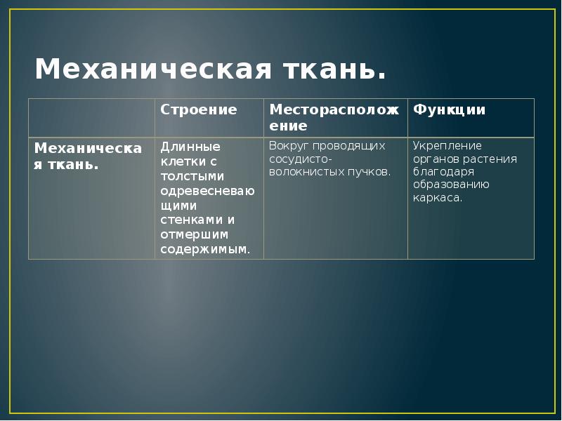 Функции механической ткани. Механическая ткань растений функции. Механическая ткань строение и функции. Механические ткани фун. Основная функция механической ткани.