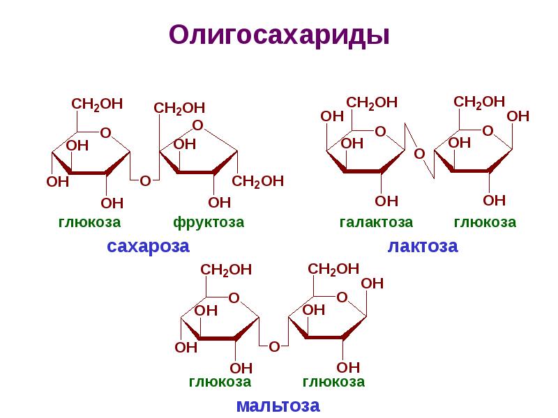 Глюкоза и фруктоза образуются при гидролизе. Сахароза мальтоза лактоза формулы. Олигосахариды сахароза лактоза мальтоза. Сахароза галактоза мальтоза. Строение сахарозы мальтозы и лактозы.