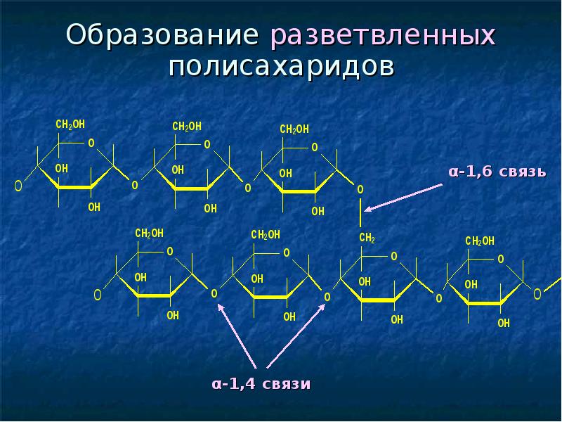 Полисахариды формула. Образование полисахаридов. Образование образование полисахаридов. Разветвленный полисахарид. Строение полисахаридов.