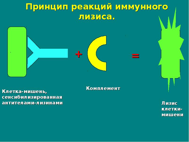 Принцип реакции. Реакция иммунного лизиса микробиология схема. Реакции иммунного лизиса комплемент. Реакция иммунного лизиса механизм. Реакция иммунного лизиса схема.