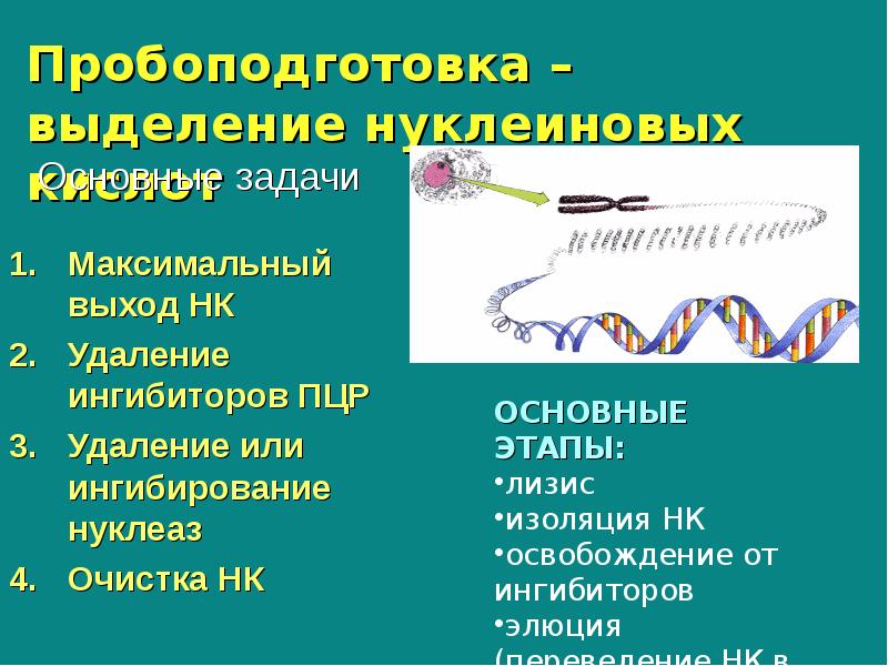 Реакция связывания комплемента микробиология презентация