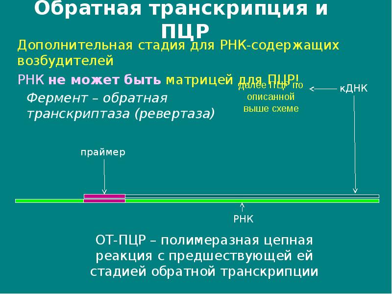 Схема обратной транскрипции