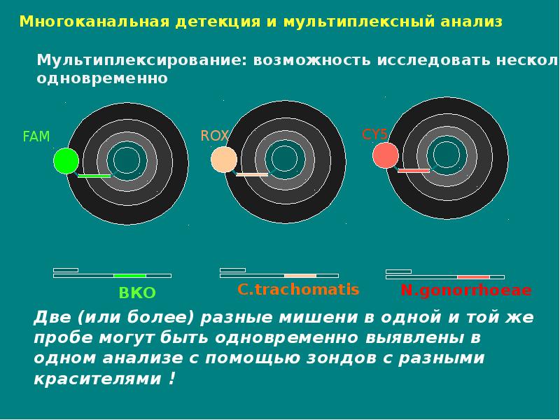 Реакция связывания комплемента микробиология презентация