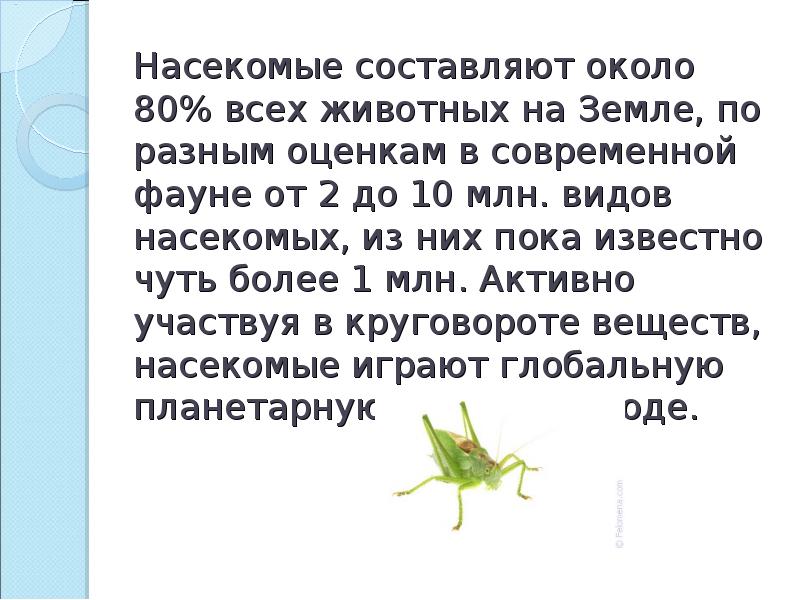 Польза насекомых в природе и жизни человека картинки